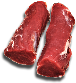 SFleisch1